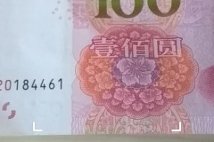 100元真伪查询扫一扫