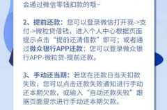 微粒贷怎么提前还款？操作步骤与注意事项全解析
