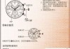 机械表怎么调时间日期？完整步骤与注意事项