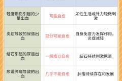 尿道出血是怎么回事？可能的原因及治疗方法全解析