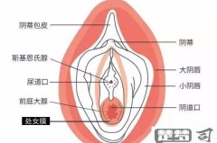 怎么知道处女膜破了？处女膜破裂的判断方法与注意事项