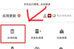 手机浏览器怎么卸载？详细步骤与注意事项全解析