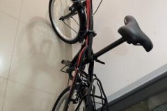 飞鸽自行车质量怎么样？耐用性及与其他品牌对比评测