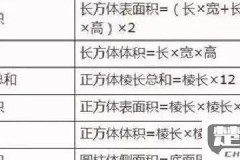 长方形的表面积怎么算？详细步骤与实例解析