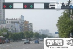 十字路口怎么看红绿灯?掌握这些要点安全通行