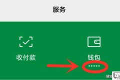 微信钱包怎么设置密码？详细步骤与安全建议