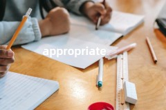 appropriately英语