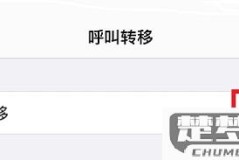 为什么苹果手机呼叫转移设置不了