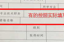 专业技术职称怎么填？完整指南与常见错误解析