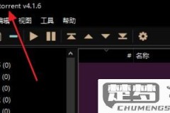 qbittorrent手机版的用法