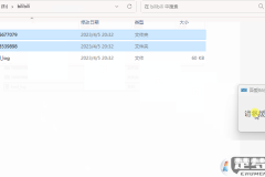 bilibili视频转换器