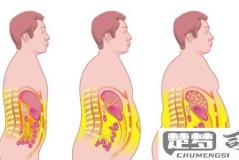肚子上的脂肪怎么减掉?科学方法与防反弹策略全解析