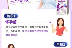 爱乐维DHA怎么样？孕期营养补充剂的核心优势与使用建议