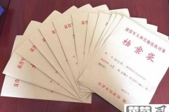 党员档案丢失怎么办?完整补办流程与解决方案