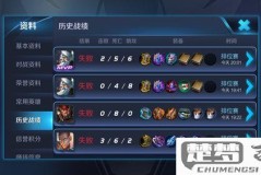 王者荣耀战绩怎么隐藏?详细步骤与注意事项