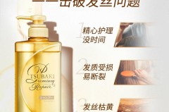 丝蓓绮洗发水怎么样？适合什么发质？成分和功效如何？