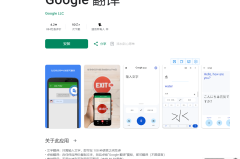 手机上google翻译不能用了