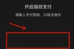 微信支付怎么用指纹？完整设置步骤与问题解决指南