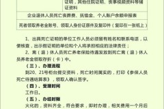 火化证明丢了怎么补办？完整补办流程及所需材料一览