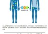 人体电解质怎么补充？科学方法与最佳时间全解析