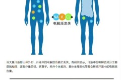 人体电解质怎么补充？科学方法与最佳时间全解析