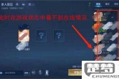 王者荣耀怎么设置隐身?详细步骤与限制解析