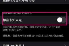 苹果手机能设置陌生号码打不进来吗