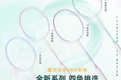 熏风羽毛球拍怎么样？性能评测与适合水平玩家解析