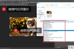 如何将图片转换为JPG格式?详细步骤与工具推荐