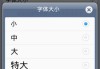 手机怎么调字体大小？Android和iOS系统调整字体大小的详细步骤