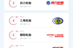 赛轮轮胎质量怎么样？耐用性和性能如何与其他品牌比较？