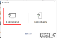 没备份聊天记录永远恢复不了