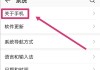 怎么打开开发者模式在不同设备和操作系统上？
