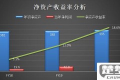 净资产收益率怎么计算及其重要性解析