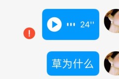 自己发的语音没有声音