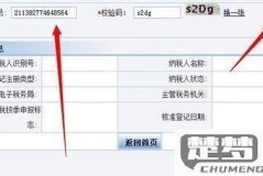 纳税人识别号怎么查？企业及个人查询方法全解析
