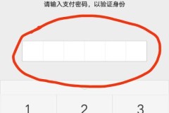 微信钱包锁怎么设置?详细步骤与问题解决指南