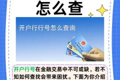 怎么看银行卡开户行?多种查询方法全解析