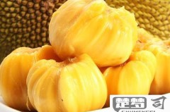 菠萝蜜吃不完怎么保存？实用方法大全