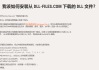 dll文件怎么安装？完整步骤与常见问题解答