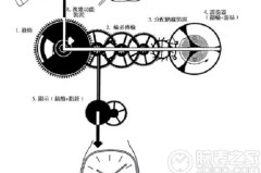 机械表怎么手动上弦?正确操作步骤与注意事项