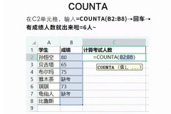 count函数怎么用?在不同编程语言和工具中的详细使用方法