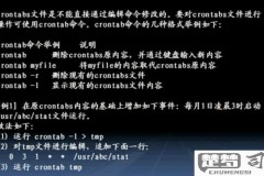 crontab生效