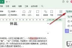 wps word文档