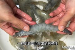冻虾怎么做好吃又简单？这里有科学解冻和简易做法