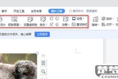 word中直接编辑图片内容