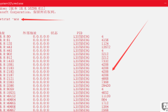 为什么3306接口一直被占用