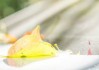 米兔联系人删除最简单方法