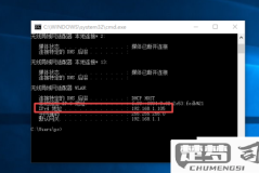 电脑的ip地址怎么查？Windows、macOS、Linux系统详细教程