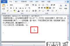 页码字体大小怎么设置在Word和PDF文档中?